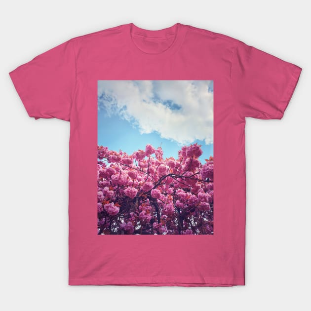 sakura pattern T-Shirt by psychoshadow